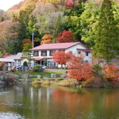 源泉 山の湯 源平和合の里 和楽遊苑